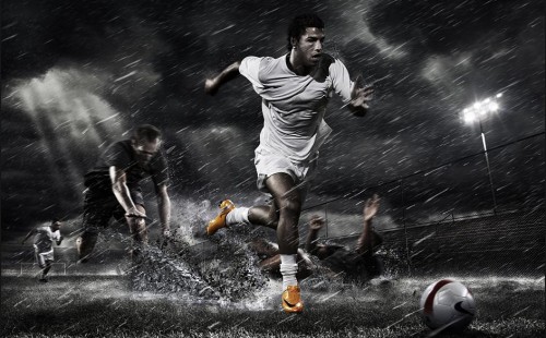 未必会遵循 未必会遵循